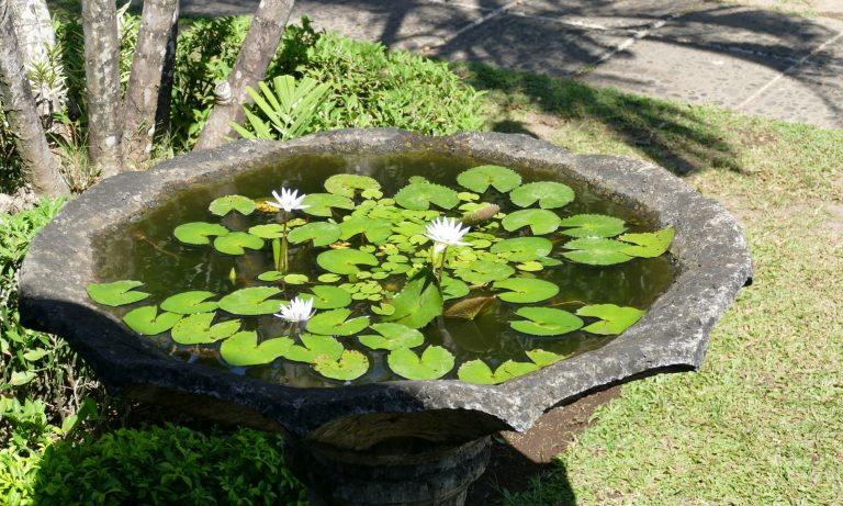 Museum Negeri Propinsi - Wasserschale