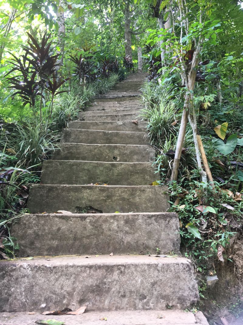 Munduk - Wanderweg zum Wasserfall, Treppe