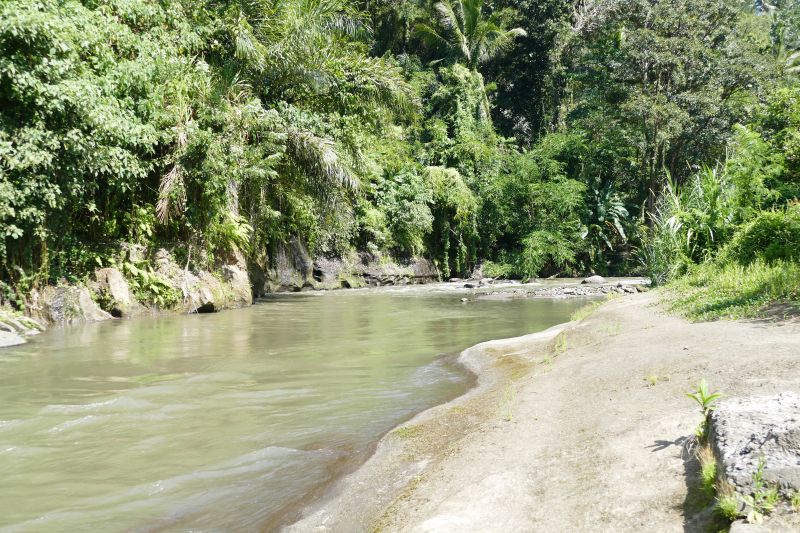 Fluss im Dschungel