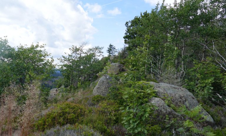 Scharfenstein Harz