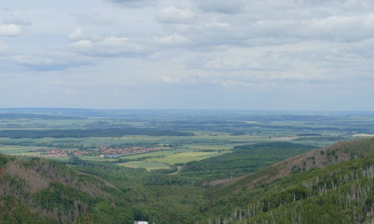 Taubenklippe- Blick ins Eckertal