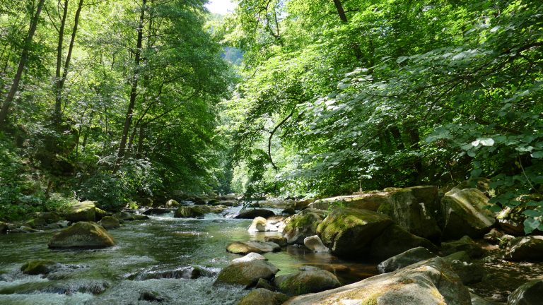 Bodetal - Bode