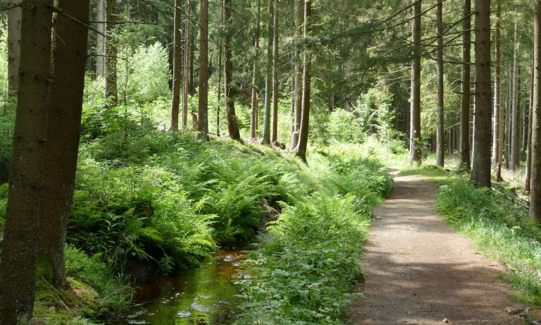 Dammgrabenweg