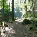 Ilsetal Buchenwald
